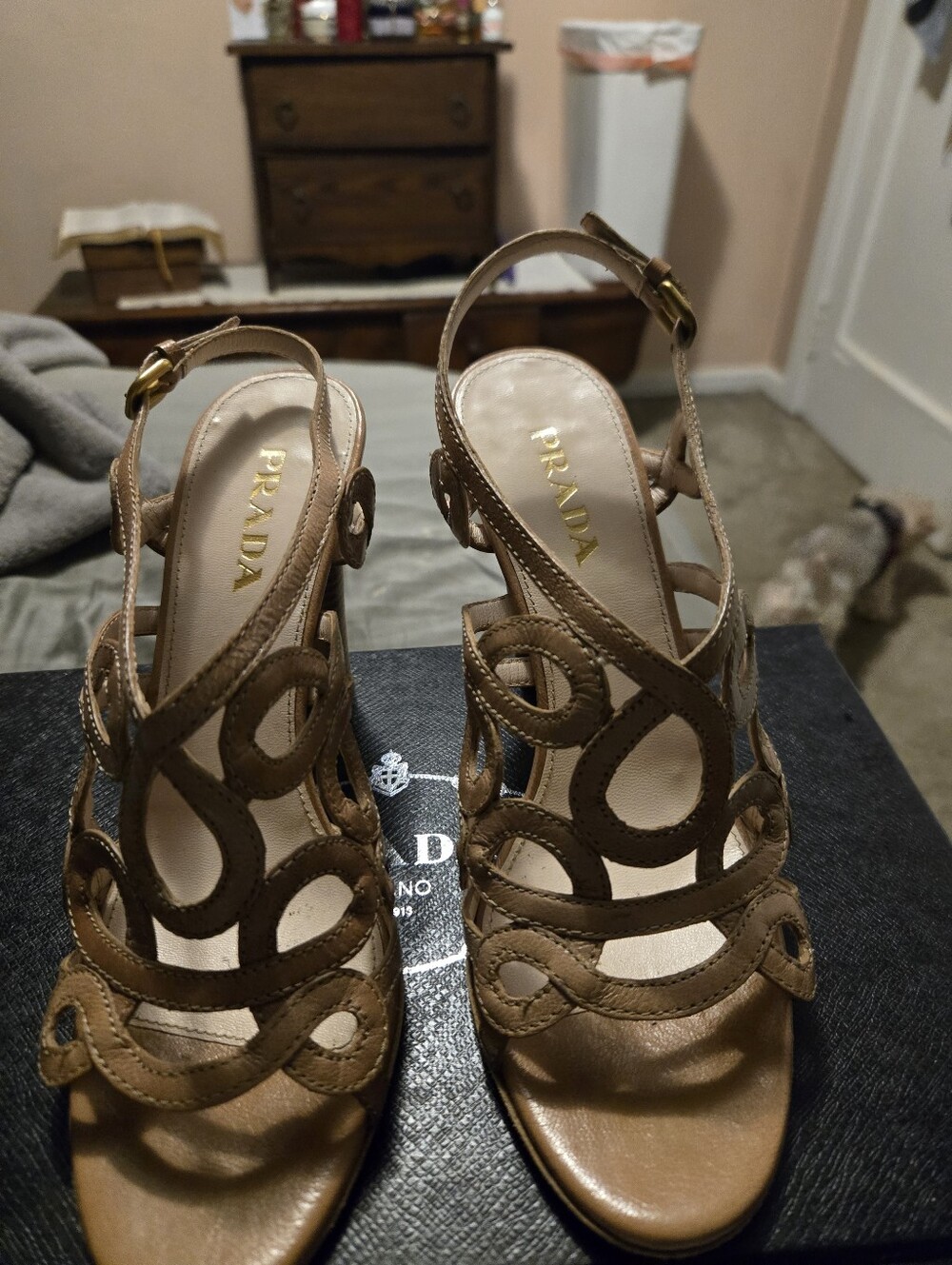 high-heeled dress shoes
